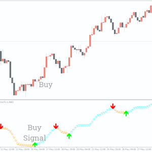 SFI Indicator Entry and Exit