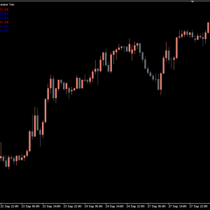 Time Zone Indicator, Master Global Markets - Image 3